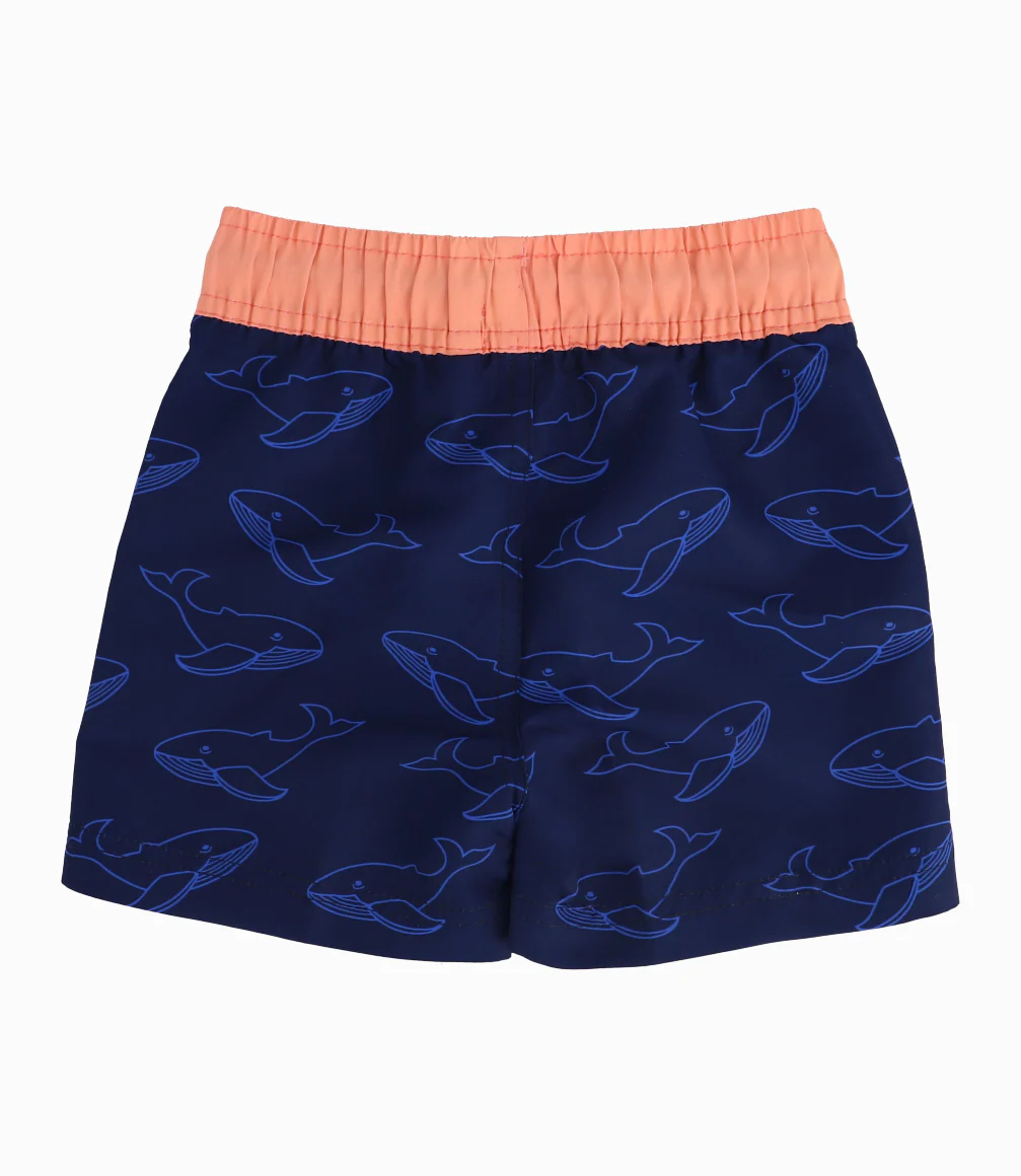 Traje De Baño Con Tiburones Bebé Niño Azul - Image 3